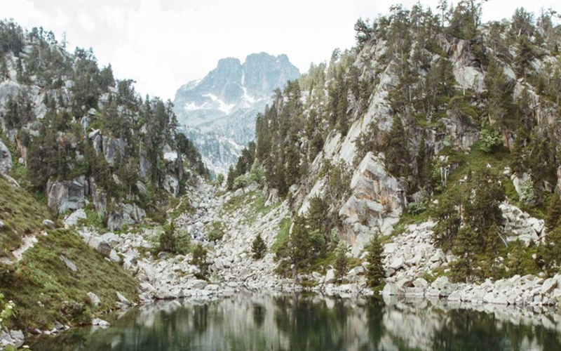 Foto: JAN PADILLA-UNSPLASH